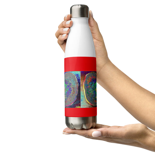 Stainless Steel Water Bottle Apple